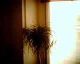 in the room